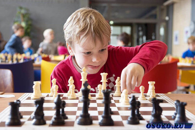 Прочитать публикацию «Почему стоит отдать ребенка на шахматы» Почему стоит отдать ребенка на шахматы